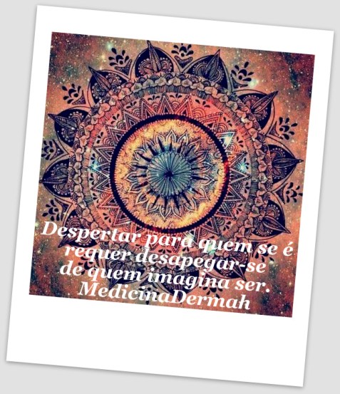 1-e6d542c44700b7d426f4f94a00cff82d-002