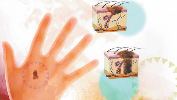 20140212081344356411i